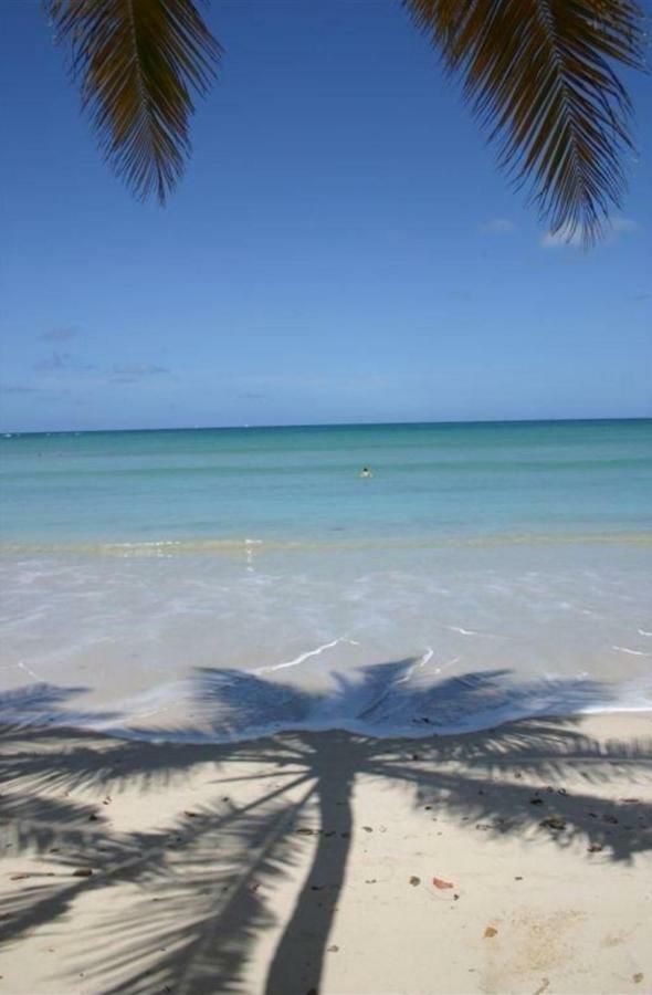 L'Hibiscus Piscine Et Plage Sainte-Luce Exterior foto